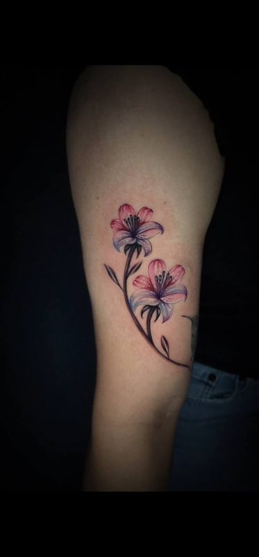 photo_18_2025-08-12_09-34-22