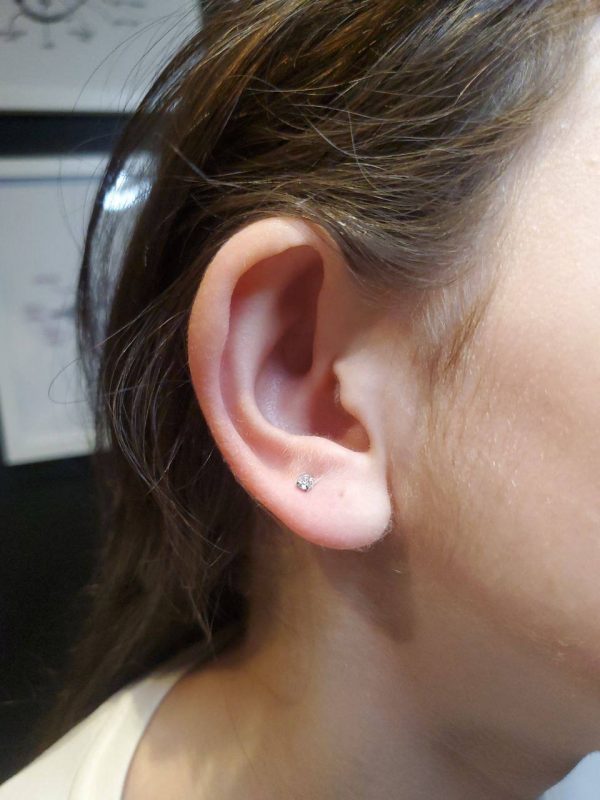 photo_19_2025-08-12_09-55-15