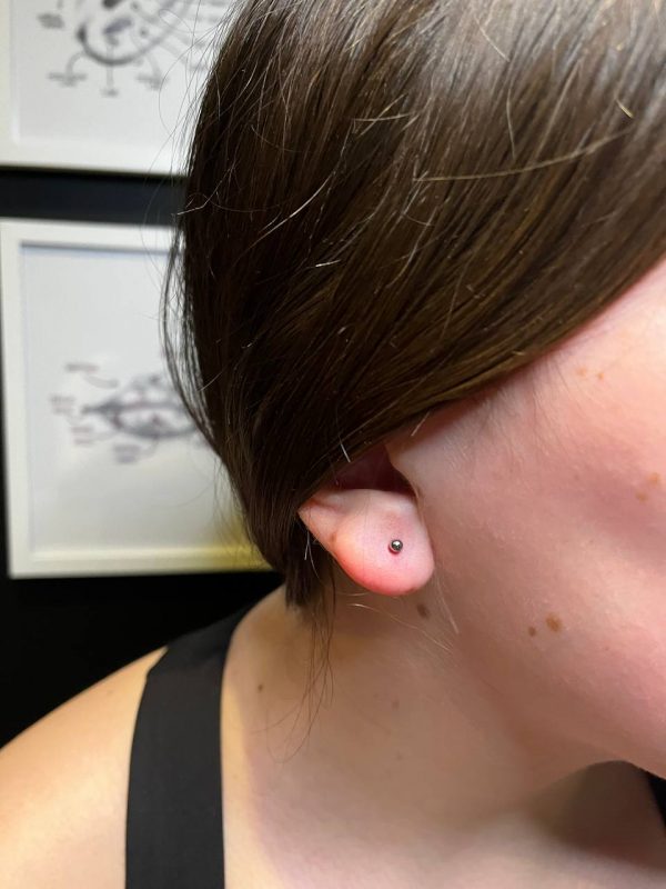 photo_1_2025-08-12_10-12-25