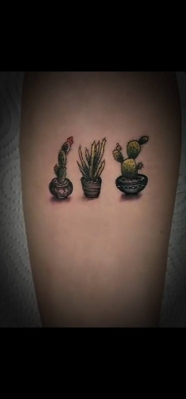 photo_36_2025-08-12_09-34-22