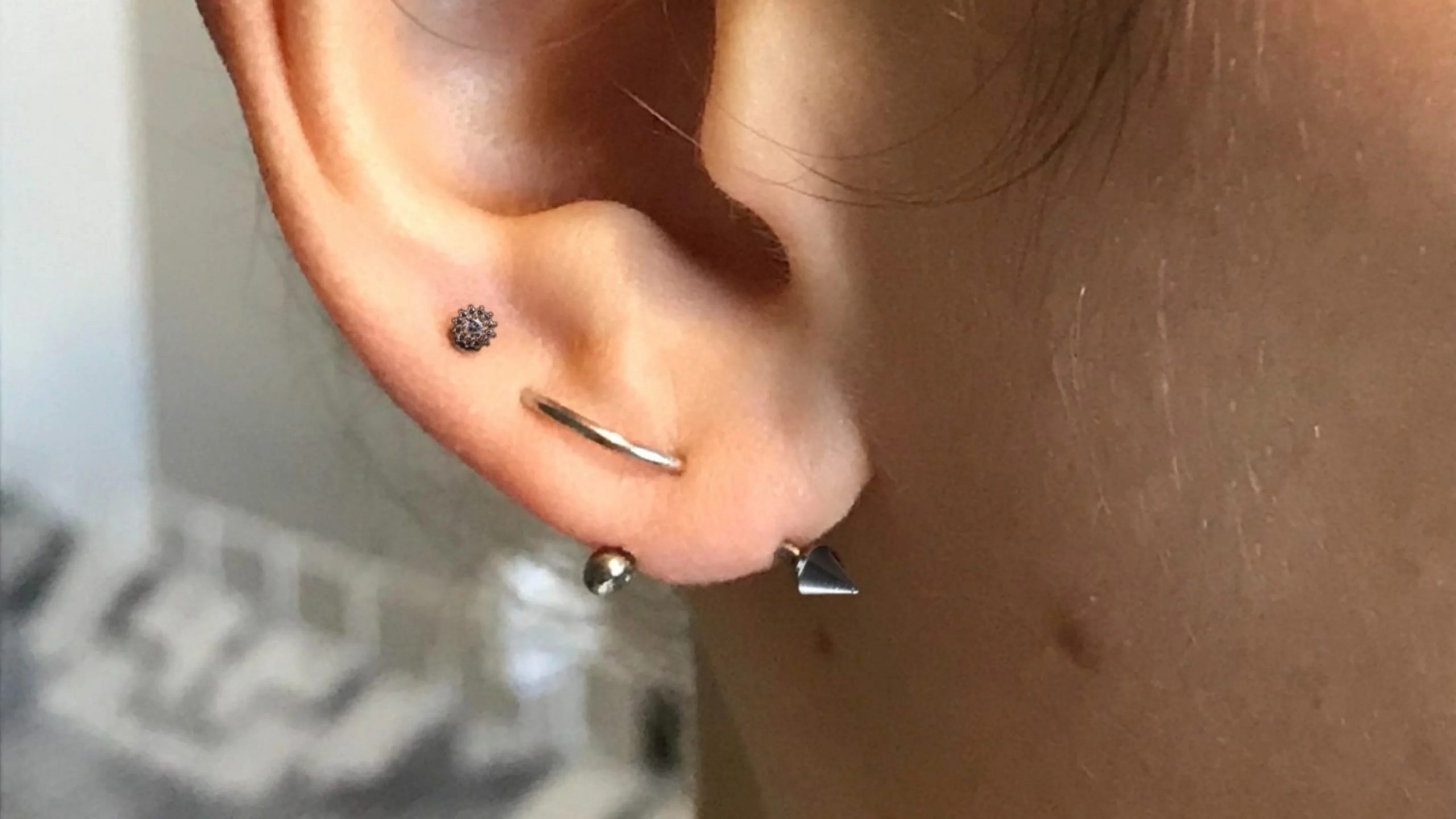 transverse lobe