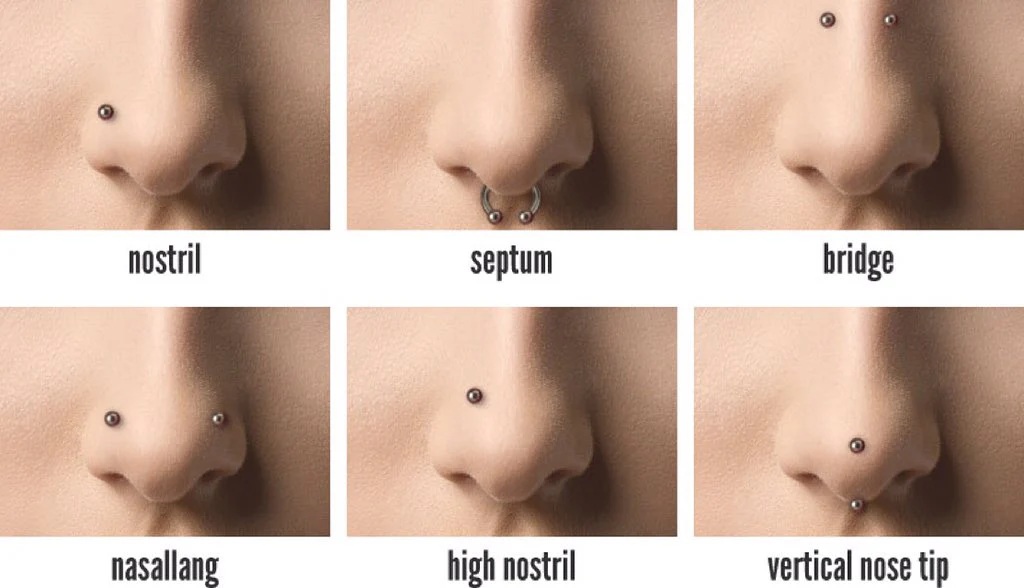 rhino piercing