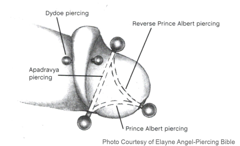 Apadravya piercing