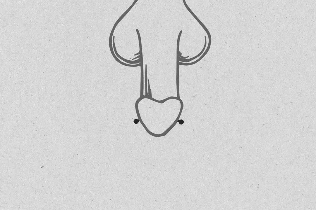 Ampallang Piercing