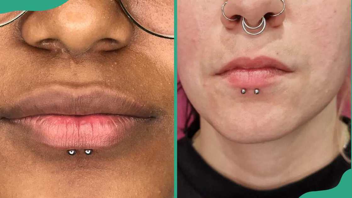 dolphin bites piercing