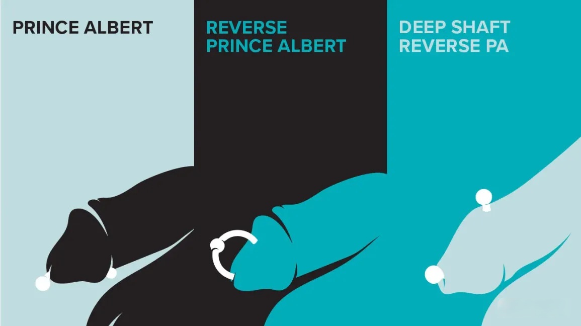 Prince Albert Piercing