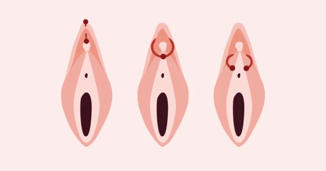 Vertical Clitoral Hood