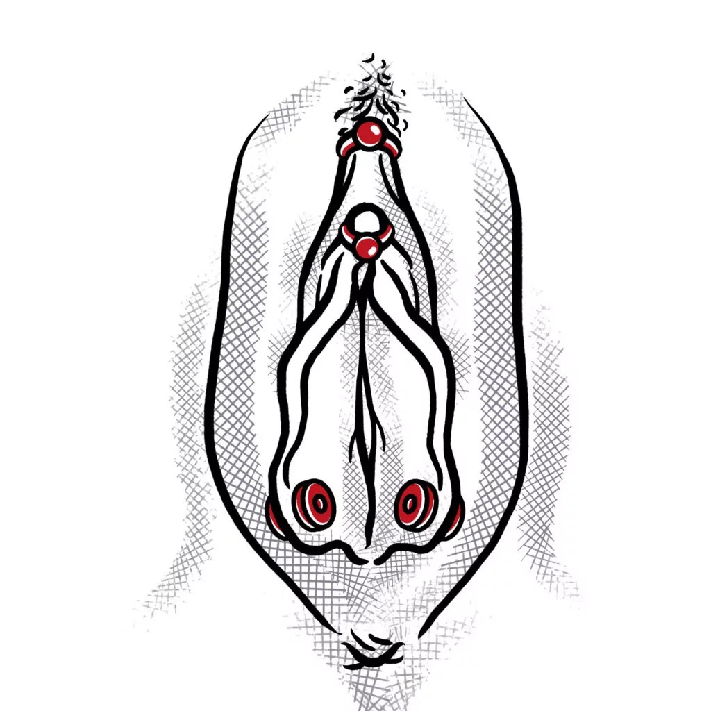  Labia Piercing